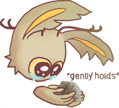 gentlyoerc