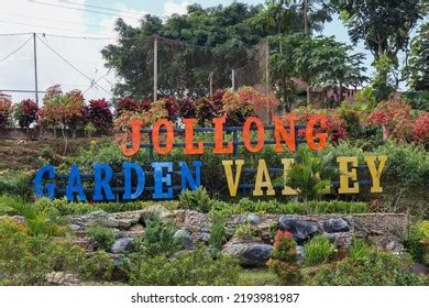 jolongi