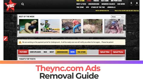 theync.com+